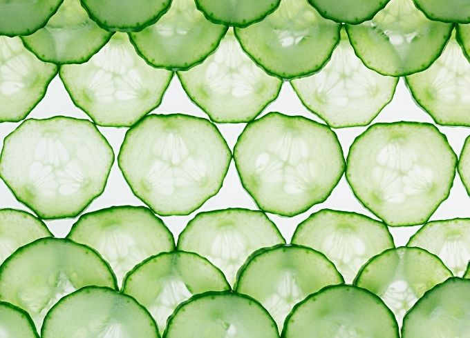 https://www.svz.com/news-and-blog/blog-keep-it-cool-with-cucumber/ thumbnail image