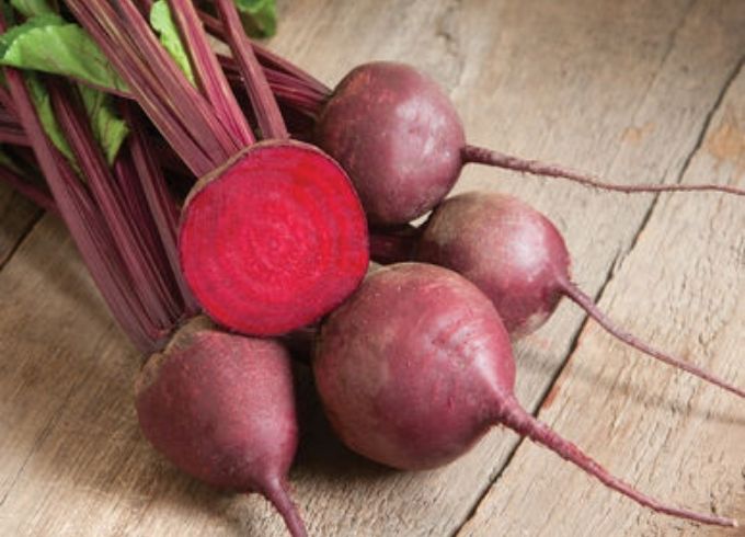 https://www.svz.com/news-and-blog/the-beauty-of-red-beet thumbnail image