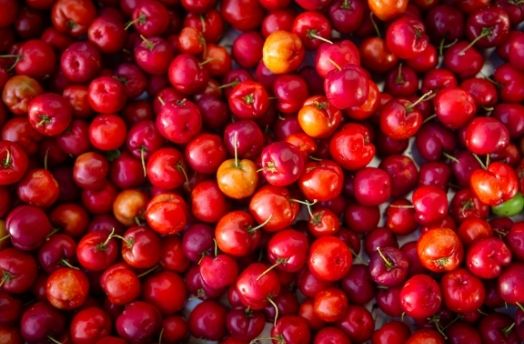 Acerola thumbnail image