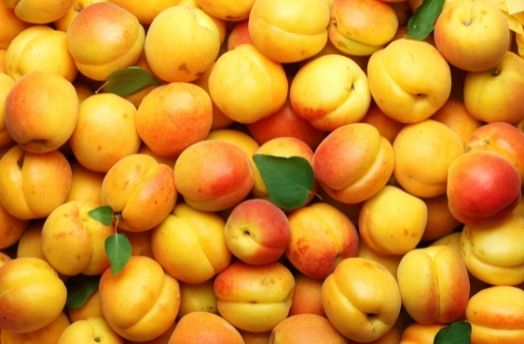 Apricot (Organic) thumbnail image