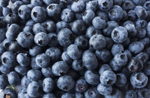 Blueberry (Organic) thumbnail image