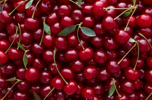 Cherry Sour (Organic) thumbnail image