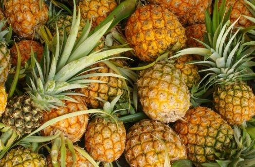 Pineapple thumbnail image