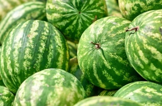 Watermelon thumbnail image