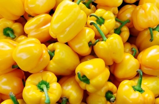 Pepper (Yellow) thumbnail image