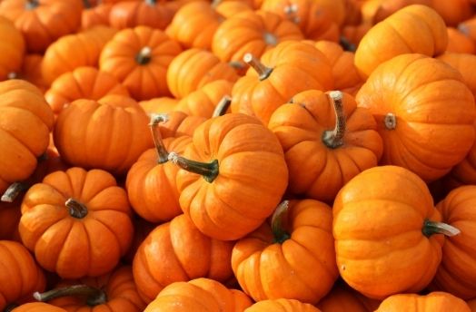 Pumpkin (Orange) (Organic) thumbnail image