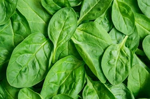 Spinach (Organic) thumbnail image