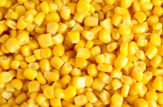 Sweet Corn (Organic) thumbnail image